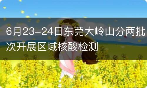 6月23-24日东莞大岭山分两批次开展区域核酸检测