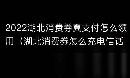 2022湖北消费券翼支付怎么领用（湖北消费券怎么充电信话费）