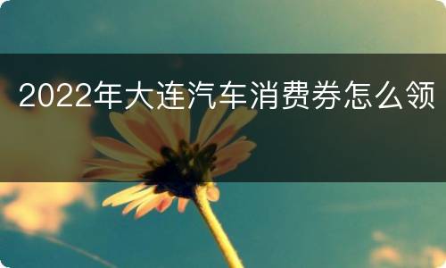 2022年大连汽车消费券怎么领