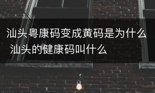 汕头粤康码变成黄码是为什么 汕头的健康码叫什么