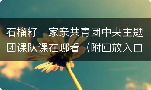 石榴籽一家亲共青团中央主题团课队课在哪看（附回放入口）