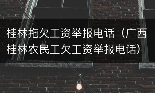 桂林拖欠工资举报电话（广西桂林农民工欠工资举报电话）