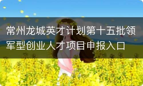 常州龙城英才计划第十五批领军型创业人才项目申报入口