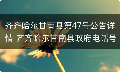 齐齐哈尔甘南县第47号公告详情 齐齐哈尔甘南县政府电话号码