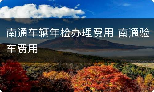 南通车辆年检办理费用 南通验车费用
