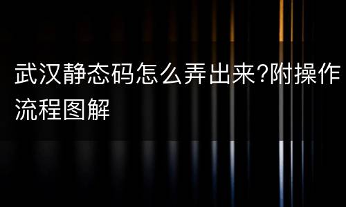 武汉静态码怎么弄出来?附操作流程图解