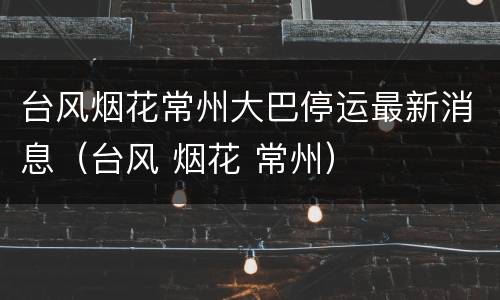 台风烟花常州大巴停运最新消息（台风 烟花 常州）
