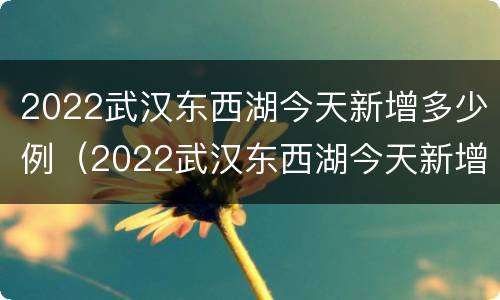 2022武汉东西湖今天新增多少例（2022武汉东西湖今天新增多少例新冠病毒）
