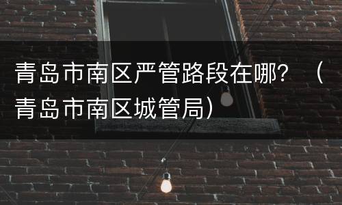 青岛市南区严管路段在哪？（青岛市南区城管局）