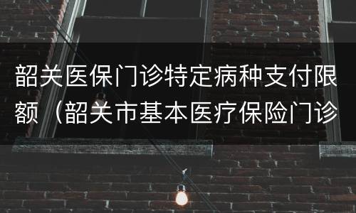 韶关医保门诊特定病种支付限额（韶关市基本医疗保险门诊特定病种）