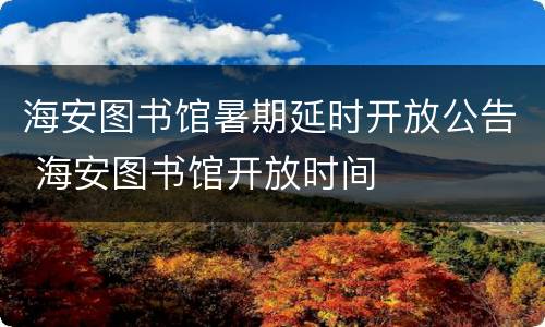 海安图书馆暑期延时开放公告 海安图书馆开放时间