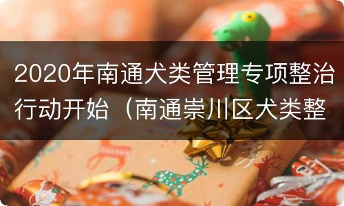 2020年南通犬类管理专项整治行动开始（南通崇川区犬类整治）