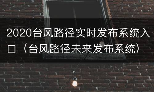 2020台风路径实时发布系统入口（台风路径未来发布系统）