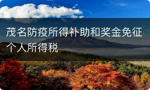 茂名防疫所得补助和奖金免征个人所得税