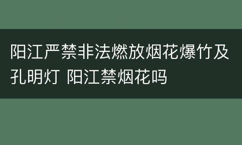 阳江严禁非法燃放烟花爆竹及孔明灯 阳江禁烟花吗
