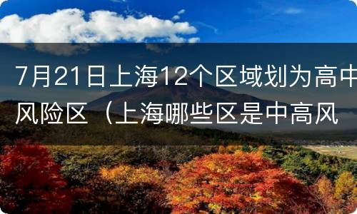 7月21日上海12个区域划为高中风险区（上海哪些区是中高风险区）