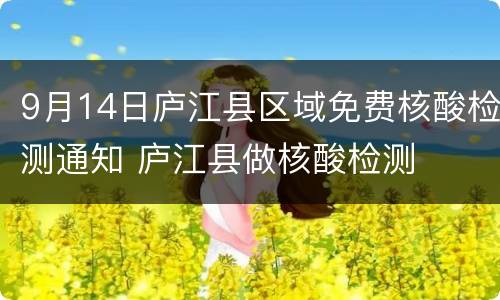 9月14日庐江县区域免费核酸检测通知 庐江县做核酸检测