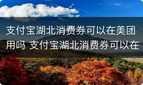 支付宝湖北消费券可以在美团用吗 支付宝湖北消费券可以在美团用吗怎么用