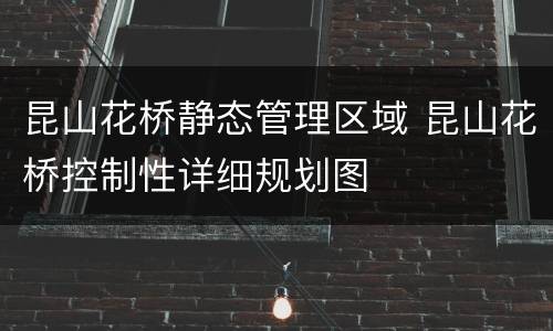 昆山花桥静态管理区域 昆山花桥控制性详细规划图