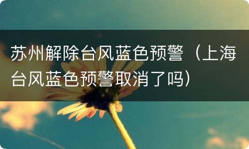 苏州解除台风蓝色预警（上海台风蓝色预警取消了吗）