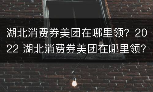 湖北消费券美团在哪里领？2022 湖北消费券美团在哪里领?2022唐卡