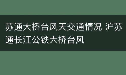 苏通大桥台风天交通情况 沪苏通长江公铁大桥台风