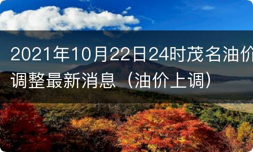 2021年10月22日24时茂名油价调整最新消息（油价上调）