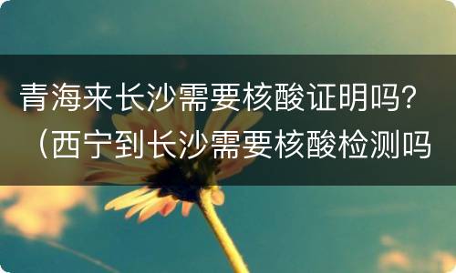 青海来长沙需要核酸证明吗？（西宁到长沙需要核酸检测吗）