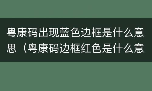 粤康码出现蓝色边框是什么意思（粤康码边框红色是什么意思）