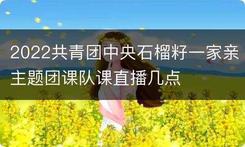 2022共青团中央石榴籽一家亲主题团课队课直播几点
