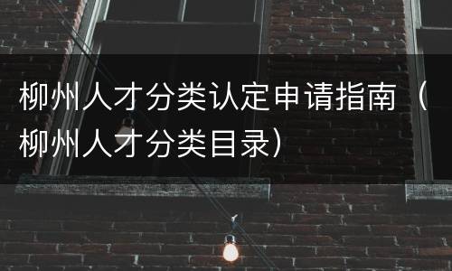 柳州人才分类认定申请指南（柳州人才分类目录）
