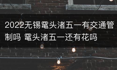 2022无锡鼋头渚五一有交通管制吗 鼋头渚五一还有花吗