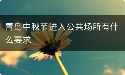 青岛中秋节进入公共场所有什么要求