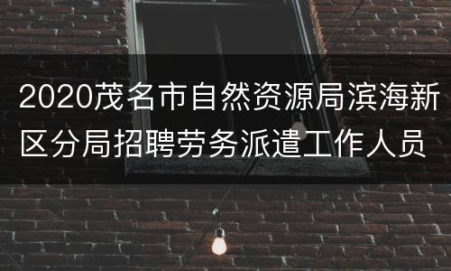 2020茂名市自然资源局滨海新区分局招聘劳务派遣工作人员（岗位+报名条件）