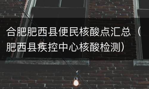 合肥肥西县便民核酸点汇总（肥西县疾控中心核酸检测）