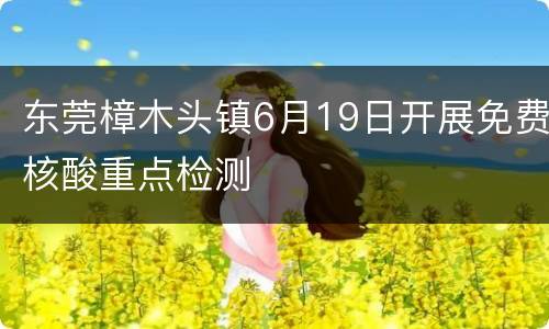 东莞樟木头镇6月19日开展免费核酸重点检测
