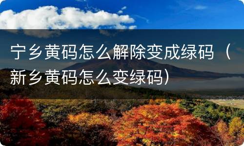 宁乡黄码怎么解除变成绿码（新乡黄码怎么变绿码）