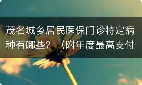 茂名城乡居民医保门诊特定病种有哪些？（附年度最高支付限额）
