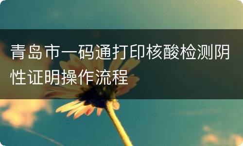 青岛市一码通打印核酸检测阴性证明操作流程