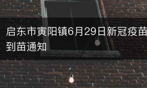 启东市寅阳镇6月29日新冠疫苗到苗通知