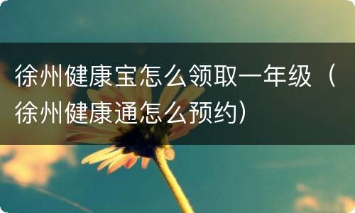 徐州健康宝怎么领取一年级（徐州健康通怎么预约）