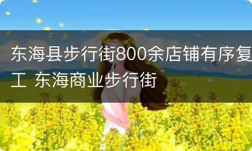 东海县步行街800余店铺有序复工 东海商业步行街