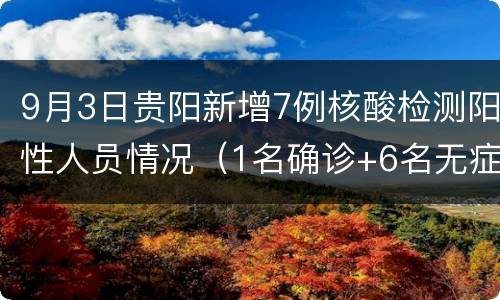9月3日贵阳新增7例核酸检测阳性人员情况（1名确诊+6名无症状 ）