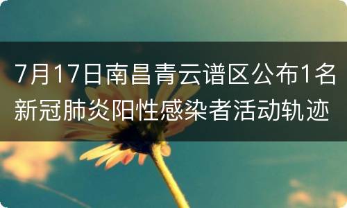 7月17日南昌青云谱区公布1名新冠肺炎阳性感染者活动轨迹