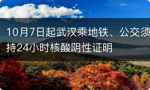 10月7日起武汉乘地铁、公交须持24小时核酸阴性证明