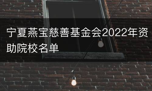 宁夏燕宝慈善基金会2022年资助院校名单