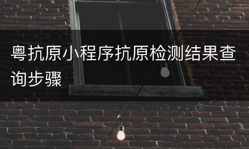 粤抗原小程序抗原检测结果查询步骤