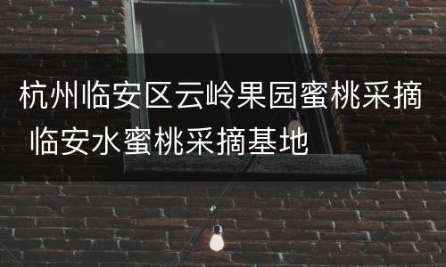 杭州临安区云岭果园蜜桃采摘 临安水蜜桃采摘基地