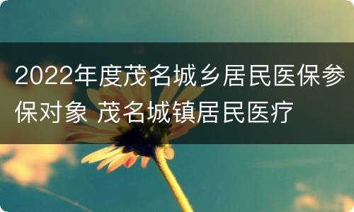 2022年度茂名城乡居民医保参保对象 茂名城镇居民医疗