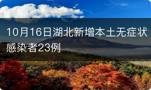 10月16日湖北新增本土无症状感染者23例
